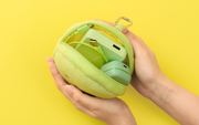 SMISKI Cushion Pouch - Gift Accent
