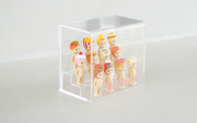 Sonny Angel Acrylic Display Case - Shelf Ready