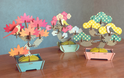 Play Plants Bonsai Puzzles - Bright Desk Pick