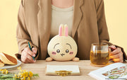 Posture Pal - CHiiKAWA - Shelf Display