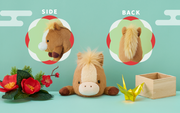 Posture Pal - Modern Shelf Ready