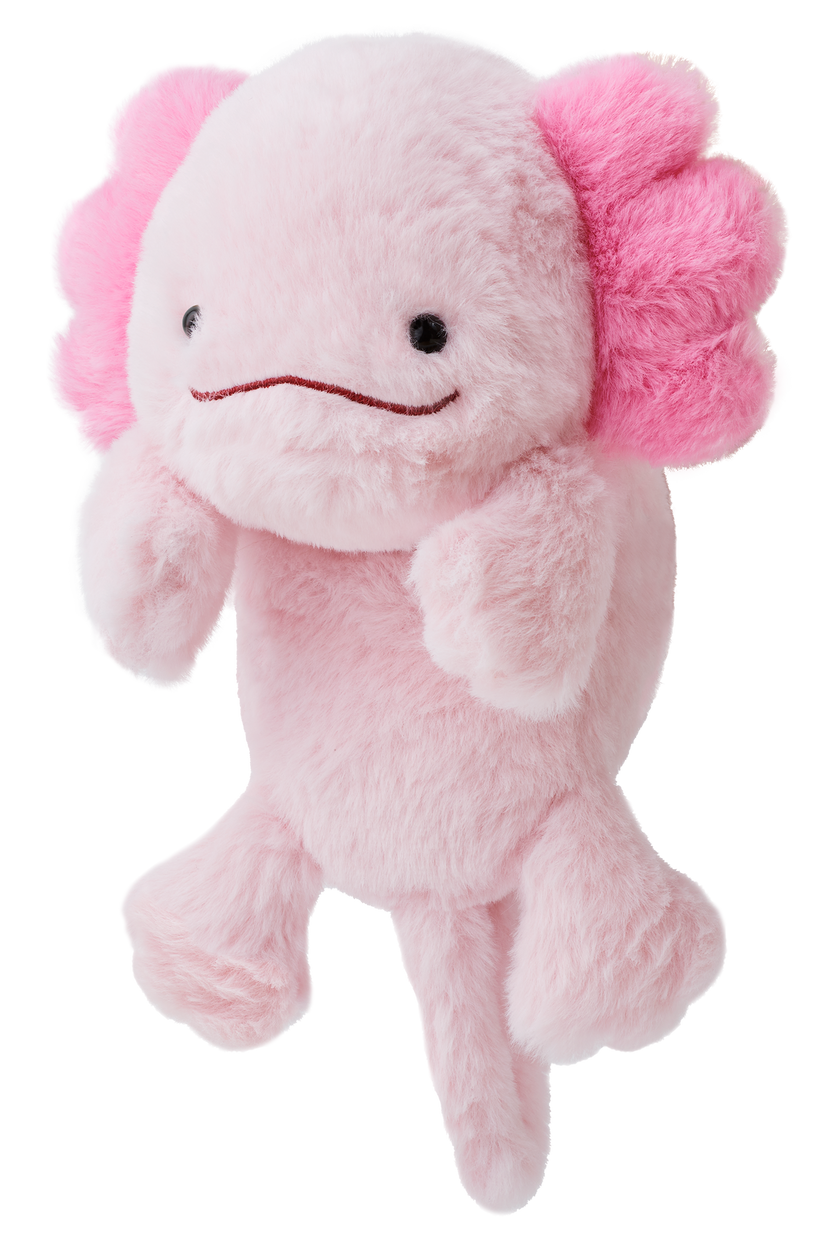 Posture Pal - Desk Charm