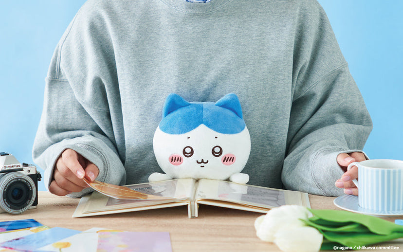 Posture Pal - CHiiKAWA - Shelf Display