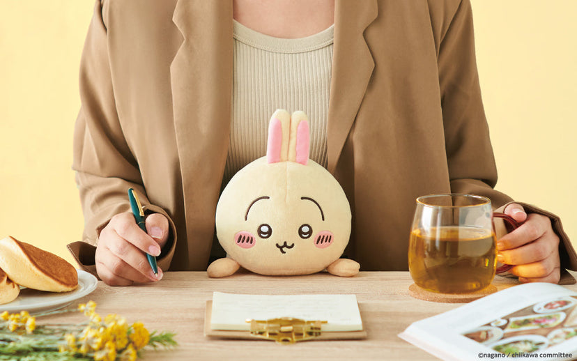 Posture Pal - CHiiKAWA - Shelf Display