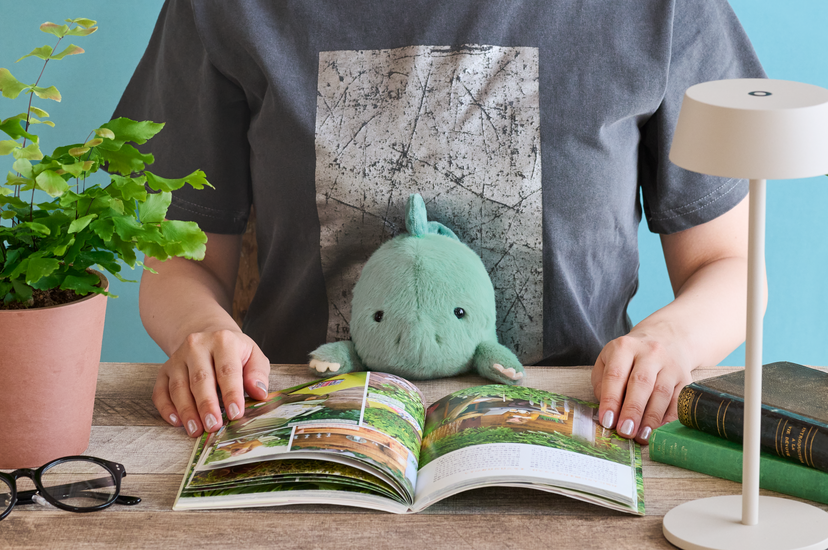 Posture Pal - Dinosaur - Little Desk Choice