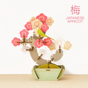 Play Plants Bonsai Puzzles - Bright Desk Pick