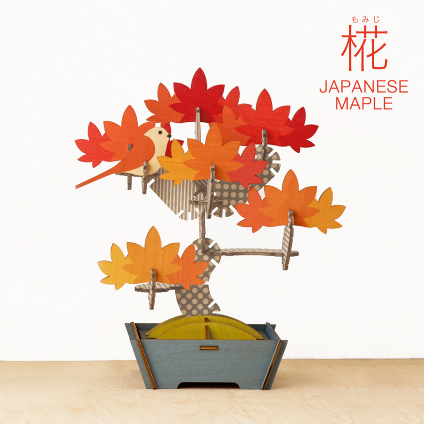 Play Plants Bonsai Puzzles - Bright Desk Pick