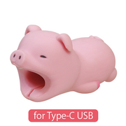 CABLE BITE for Type-C USB - Collector Pocket Style
