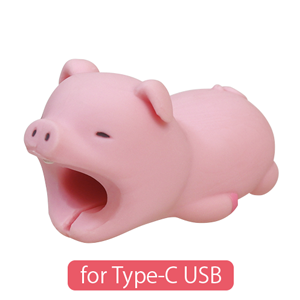 CABLE BITE for Type-C USB - Collector Pocket Style